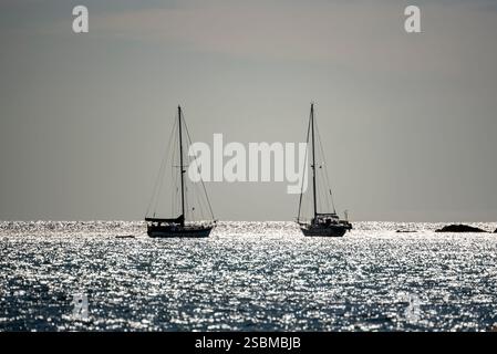 Szenen aus dem Hafen von Mazatlán, Sinaloa, Mexiko Stockfoto