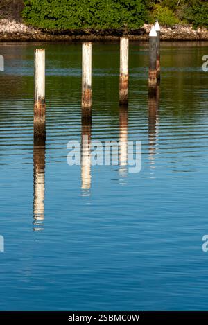 Szenen aus dem Hafen von Mazatlán, Sinaloa, Mexiko Stockfoto