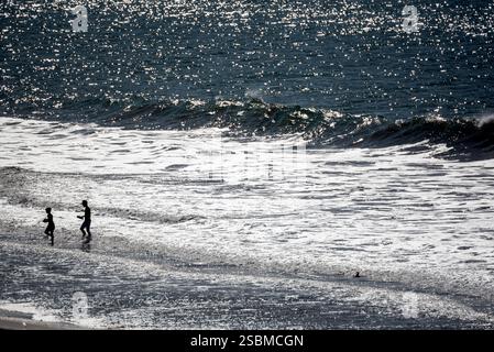 Szenen aus dem Hafen von Mazatlán, Sinaloa, Mexiko Stockfoto