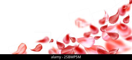 Rote Rosenblätter schaffen einen Rahmen mit fliegenden verstreuten Elementen auf weißem Hintergrund. Realistische, bewegungsarme, purpurrote Blumenkomposition für romantisches Kartendesign oder Layout für Hochzeitseinladungen. Stock Vektor