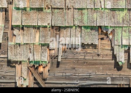 Holzdach mit grünem Moos darauf. Das Dach ist alt und hat viele Löcher Stockfoto