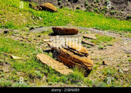 Großer Felsen liegt auf einem Hügel neben einem grasbewachsenen Gebiet. Es gibt andere Gesteine, die in der Gegend verstreut sind Stockfoto