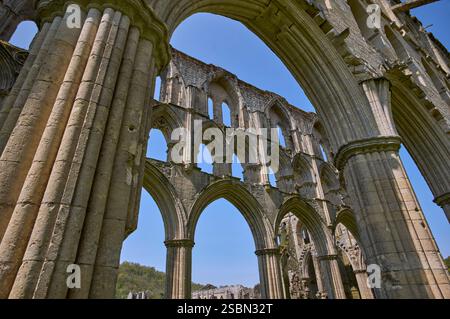 Ruinen der Rievaulx Abbey, North Yorkshire, England. Rievaulx Abbey war das erste Zisterzienserkloster im Norden Englands, das 1132 von 12 Mönchen gegründet wurde Stockfoto