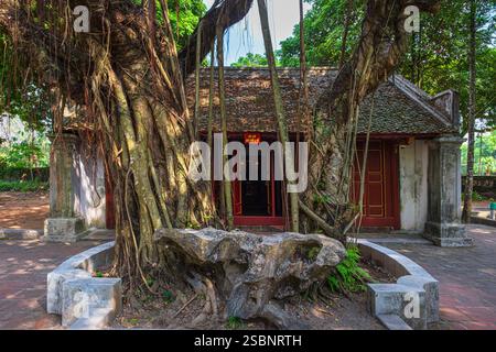 Vietnam, Provinz Ninh Binh, Hoa Lu, ehemalige Hauptstadt Vietnams zwischen 968 und 1010, Tempel des Königs Le Dai Hanh Stockfoto