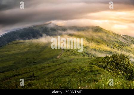 Polen, Präkarpaten, Ustrzyki Górne, Nationalpark Bieszczady, Sonnenaufgang am Schutzgebiet Połoniny Wetlińska, Berehy Górne (Brzegi Górne) Stockfoto
