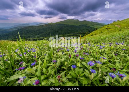 Polen, Präkarpaten, Ustrzyki Górne, Nationalpark Bieszczady, Blick auf den Gipfel von Bieszczady, Berg Tarnica (1.346 m), vom Połonina Bukowska Bergmassiv Stockfoto