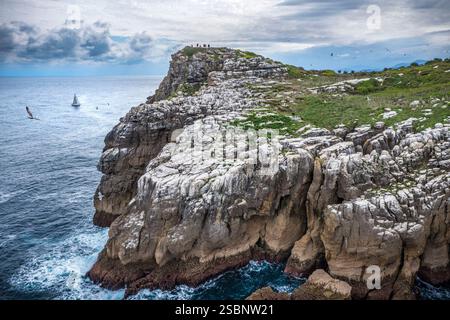 Spanien, Baskenland, Vizcaya, Lea-Artibai, Lekeitio, San Nikolas Insel, aus der Luft Stockfoto