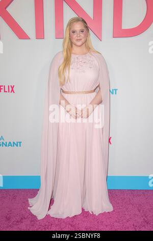 New York, Usa. Februar 2025. NEW YORK, NEW YORK - 3. FEBRUAR: Amy Schumer besucht Netflix's Kinda schwanger New York Premiere am Paris Theater am 3. Februar 2025 in New York City. Quelle: SOPA Images Limited/Alamy Live News Stockfoto