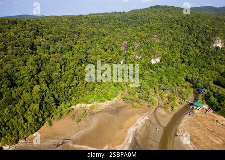Aus der Vogelperspektive auf einen Mangrovenwald bei Ebbe und dickem, üppigem tropischen Dschungel Stockfoto