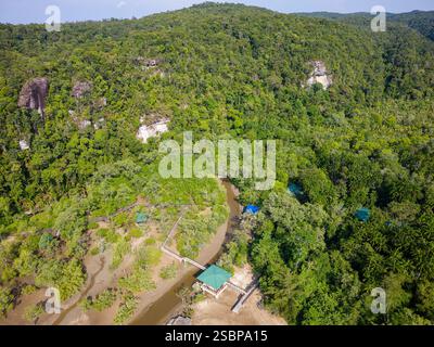 Luftaufnahme des dichten tropischen Dschungels, der zum Mangrovenwald an der Küste führt (Bako, Borneo) Stockfoto