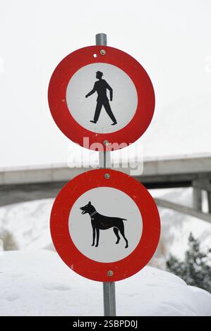 Universelle europäische Verkehrswarnschilder warnen Fahrer vor Fußgängern und Hunden, die die Straße überqueren oder entlang laufen. Stockfoto