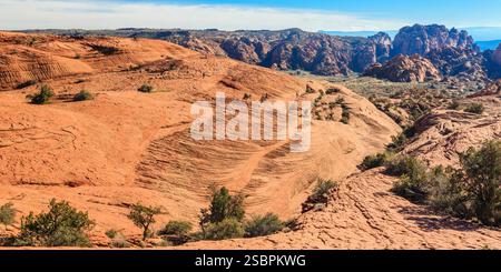 Wüstenlandschaft mit einem Berg im Hintergrund. Die Wüste ist mit Sand und Felsen bedeckt. Es gibt Bäume, die in der ganzen Gegend verstreut sind Stockfoto