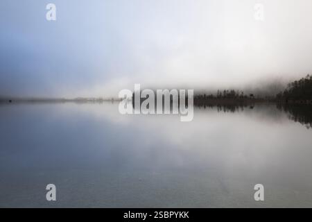Dichter Nebel über dem Almsee im Herbst Stockfoto