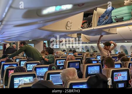 Flugzeuge der Etihad Airline, Innenraum, Sitzreihen mit Passagieren. Boeing 787 auf einem Flug nach München. Ein Flugbegleiter verstaut das Gepäck in t Stockfoto