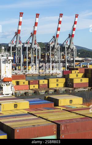 Gestapelte Container und Portalkräne auf dem Dock, Frachtschiff MSC Renaissance III mit Containern im Cargo Port La Spezia, Italien Stockfoto