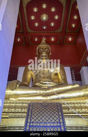 Großer goldener Buddha in Lotusposition, Wat Mahathat Yuwaratrangsarit, buddhistischer Tempel, Ayutthaya, Provinz Ayutthaya, Thailand, Asien Stockfoto