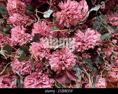 Nahaufnahme von dekorativen rosa Chrysanthemen Blüten oder manchmal auch Chrysanthen genannt. Nahtlose Hintergrundstruktur mit Blumendekoration. Stockfoto