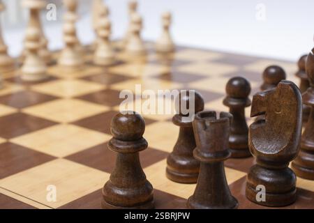 Intellektuelles Spiel - Schach. Schachfiguren aus Holz auf dem Schachbrett Stockfoto