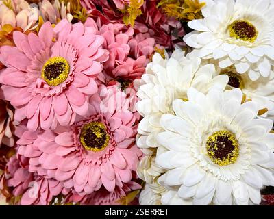 Nahaufnahme von dekorativen rosa und weißen Gerbera-Blüten. Nahtlose Hintergrundstruktur mit gerbera-Blumenmuster. Stockfoto