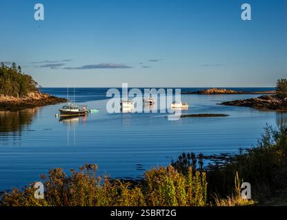 Hummerboote im späten Nachmittagslicht im Bunkers Harbor auf der östlichen Seite der Schoodic Peninsula in Gouldsboro, Maine im Down East Hancock County USA Stockfoto