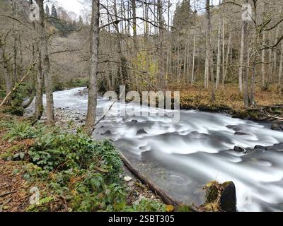 Langzeitaufnahmen eines fließenden felsigen Flusses in einem natürlichen bewaldeten Bergregion im Herbst Stockfoto