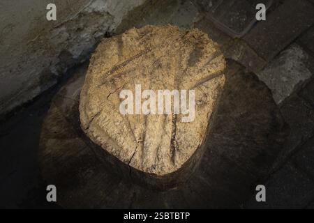 Alte verwitterte Baumstumpf Textur Hintergrund mit Querschnitt geknackt Stockfoto