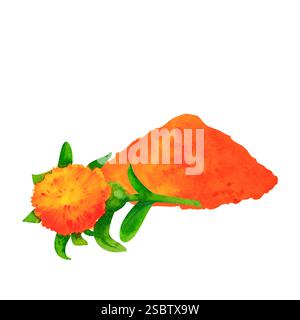 Ein lebhafter Stapel Saflorblätter mit einer einzigen Saflorblume daneben. Diese Aquarellillustration ist perfekt für das Kräuterbranding, botan Stockfoto