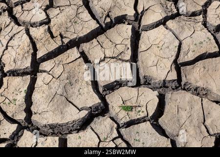 Getrockneter und zerrissener Schlamm an den Ufern eines Damms während der Trockenzeit Stockfoto