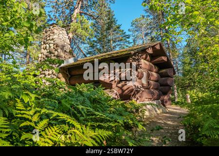 Eine alte Hütte mit großen Baumstämmen und einem Steinkamin in einem dicken grünen Wald mit Farnen und immergrünen Bäumen. Stockfoto