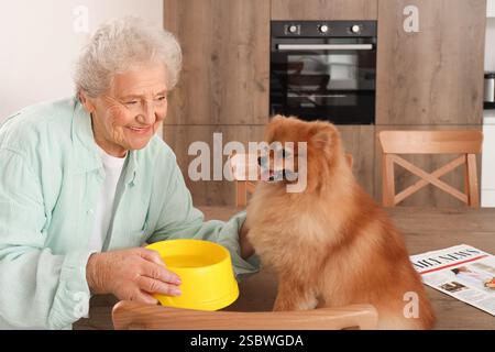 Seniorin füttert Pommerschen Hund auf dem Tisch in der Küche Stockfoto