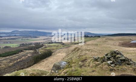Der Gipfel des Dummiefarline Hill in Fife, Schottland. Sanfte schottische Landschaft mit Grasland und hohen Kiefern an einem bewölkten, stimmungsvollen Tag mit Clou Stockfoto