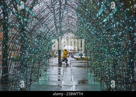 Frau in gelber Jacke und Regenschirm geht an einem regnerischen Tag in Healdsburg, Kalifornien, an einer leichten Installationsstruktur vorbei. Stockfoto