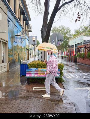 Ein Mann in karierter Jacke und mit einem gelben Schirm, auf dem "Regen" steht, sieht zu, als er auf einer Straße in Healdsburg, Kalifornien, läuft Stockfoto