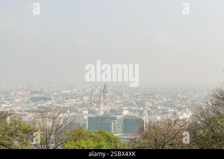 Ein Panorama-Stadtbild mit einer urbanen Skyline unter einem trüben Himmel, mit üppigen grünen Bäumen im Vordergrund, die natürlichen Kontrast bilden. Stockfoto