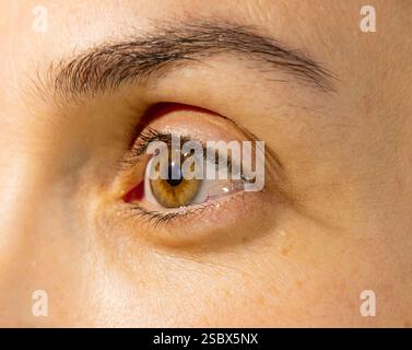 Schönes braunes Auge aus der Nähe. Mädchen-Auge-Makro Stockfoto