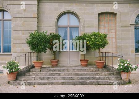 Mediterrane Fassade im Sommer mit Mini-Bäumen aus Zitronen und Orangen im Topf Stockfoto