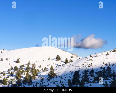 Schneebedeckte Helmos-Hügel mit Kiefern unter einem hellblauen Himmel mit einer einzigen Wolke. Kalavryta, Peloponesse Stockfoto