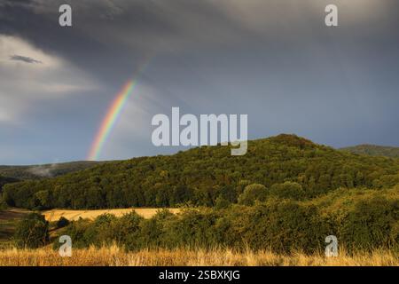 Regenbogen, über Hügeln und Wäldern des Escheberger Waldes, nach einem Gewitter in der Abendzeit im Sommer, Nordhessen, Deutschland, Euro Stockfoto