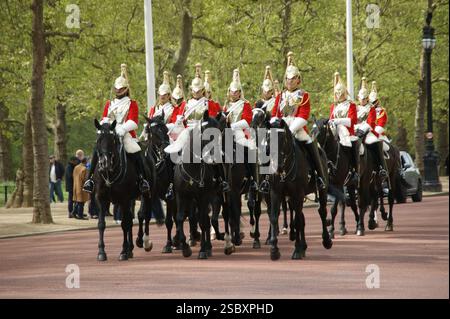 Ein Nahfoto der Queen's Life Guards im St. James'Park, London Stockfoto