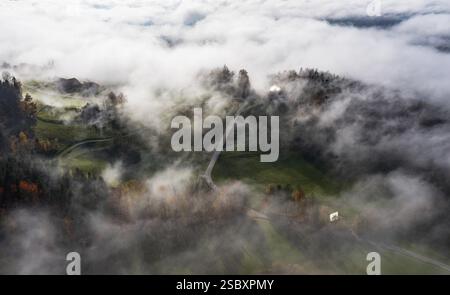 Drohnenbild, landwirtschaftliche Landschaft, Morgennebel über dem Mondseeland, Mondsee, Salzkammergut, Oberösterreich, Österreich, Europa Stockfoto
