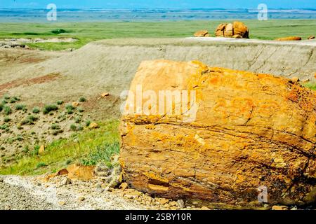 Großer Felsen liegt an einem Hügel. Der Stein ist braun und hat eine gelbliche Färbung Stockfoto
