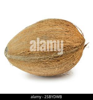 Eine harte Kokosnuss über dem weißen Hintergrund Daugavpils, Lettland, Europa Stockfoto