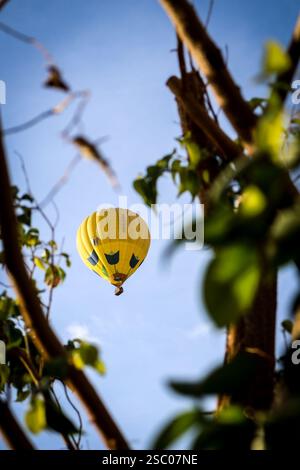 Die untergehende Sonne färbt den Himmel in goldenen Tönen, eingerahmt von Baumsilhouetten. Dramatische Wolken schaffen eine atemberaubende natürliche Kulisse. Stockfoto