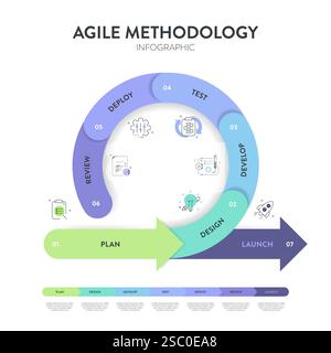 Die Infografik „Agile Lifecycle Methodology“ ist ein Prozess zur Erstellung und Reaktion auf Veränderungen. Lebenszyklus der Produktentwicklung und Agile Methodology. Proz Stock Vektor