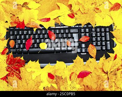 Schwarze Tastatur an den bunten Herbstblättern Stockfoto