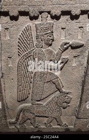 7576. Relief, das einen geflügelten Gott darstellt, der auf einen Löwen tritt und Trankopfer anbietet. Relief aus dem Palast von Uratu aus dem Jahr 1000 v. Chr., in dem Ahura Mazda a Hitti dargestellt wird Stockfoto