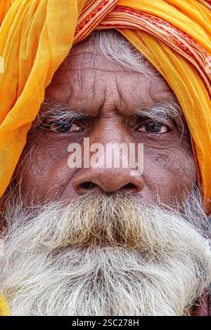 13. Januar 2025, Prayagraj, uttar Pradesh, Indien. Nahaufnahme eines langbärtigen Sadhu mit Safranpagdi und weißem Bart, der Spiritualität ausstrahlt. Stockfoto