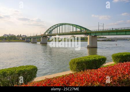 Die alte Save-Brücke erhebt sich anmutig über den Fluss Save in Belgrad und zeigt ihre grüne Struktur vor dem klaren Himmel, mit üppigem Grün und lebendigen Blumen am Ufer. Stockfoto
