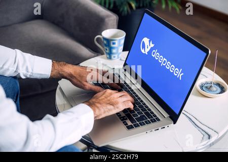 Benutzer mit Deepseek-Logo auf dem Laptop-Bildschirm. Neue chinesische App für künstliche Intelligenz Rosario, Argentinien - 4. Februar 2025. Stockfoto