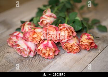 Ein Haufen Roses Capriolas, Eine wunderschön zusammengesetzte Nahaufnahme von orange-rosa Rosen, die sich auf einer Holzoberfläche gruppieren, lebendige Farbe, Farbe Stockfoto